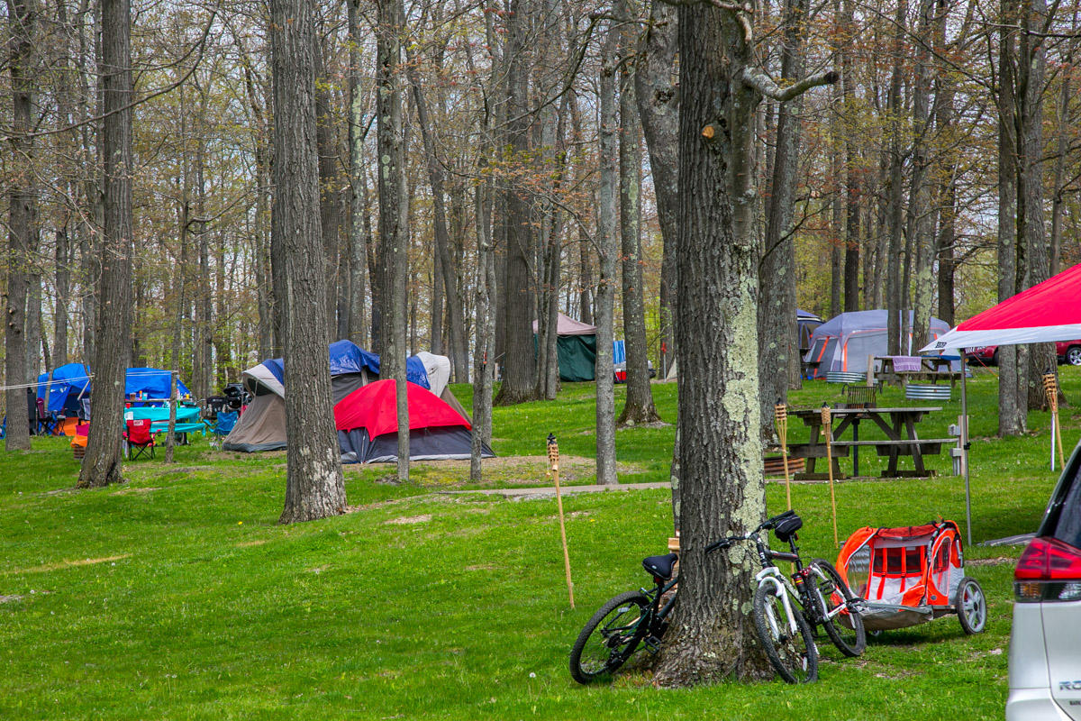 Individual Tent Site, Water & Electric, Gravel Tent Pad Pictures