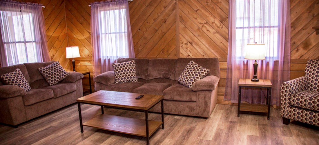 Family Cabin Living Area