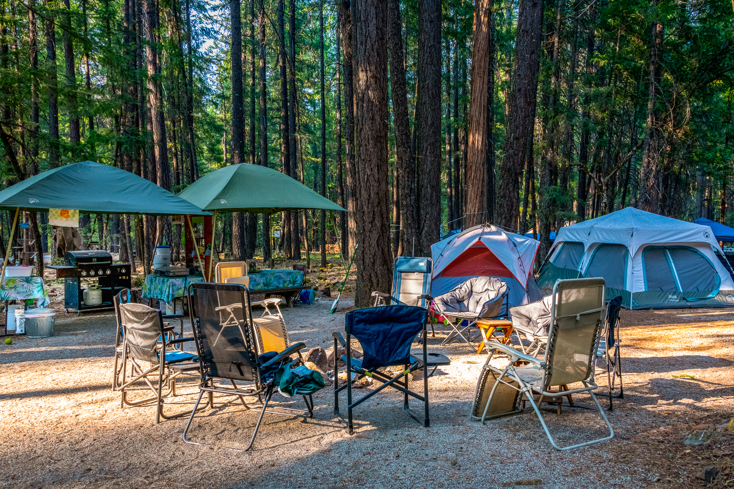 Group Tent sites for up to 12 people