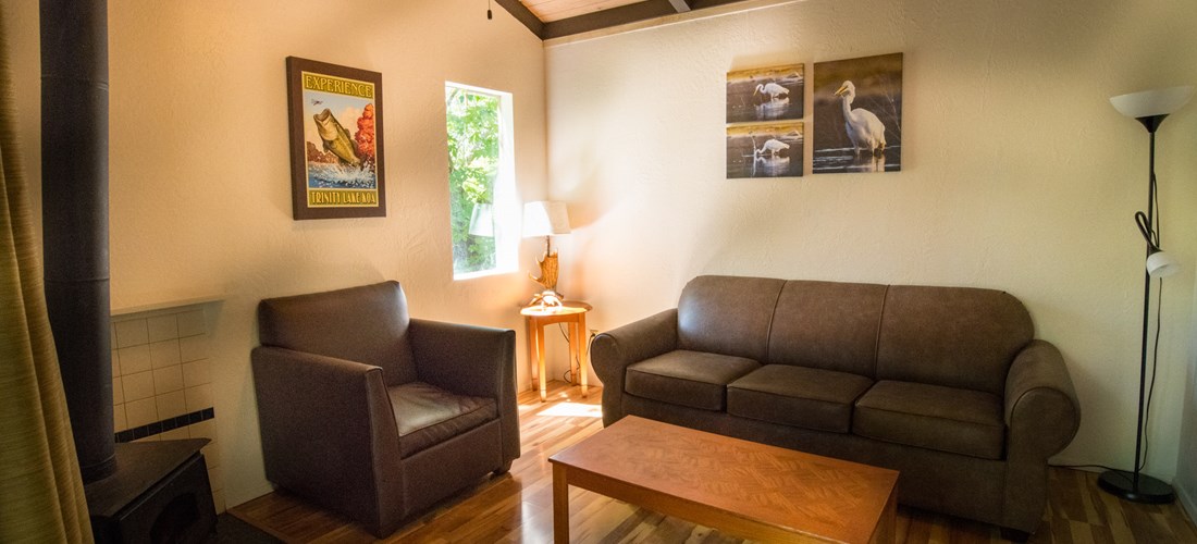 Living room with Sleeper Sofa