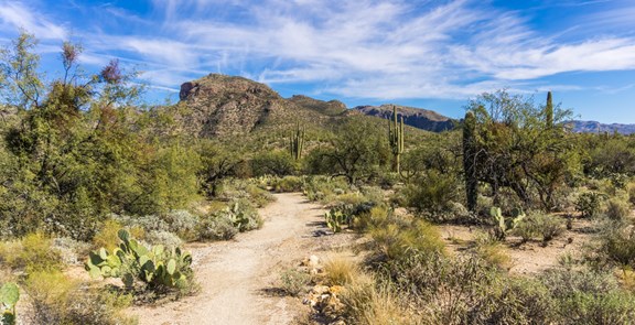 Sabino Canyon Recreation Area