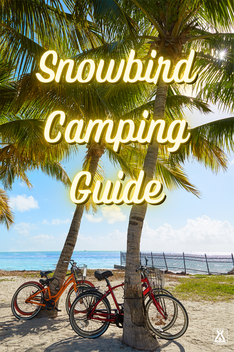 Snowbird Travel Guide
