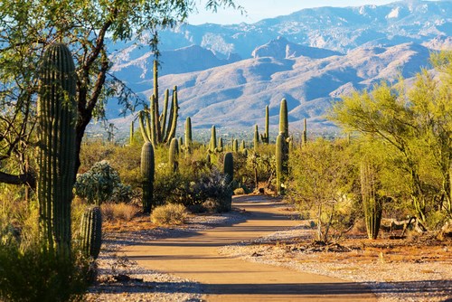 Tucson Attraction