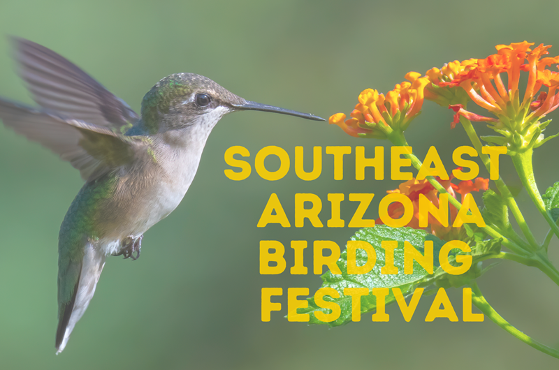 Southeast Arizona Birding Festival Event at the Tucson / Lazydays KOA