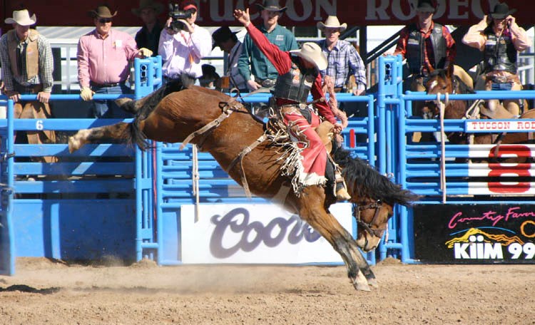 Tucson Rodeo Photo