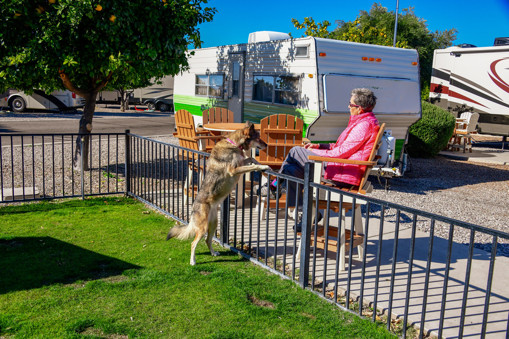 Luxury RV Park Campground Tucson/Lazydays KOA Resort