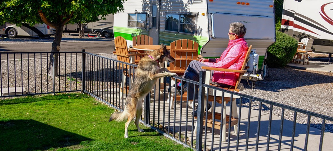 Back-in RV Sites with dog area