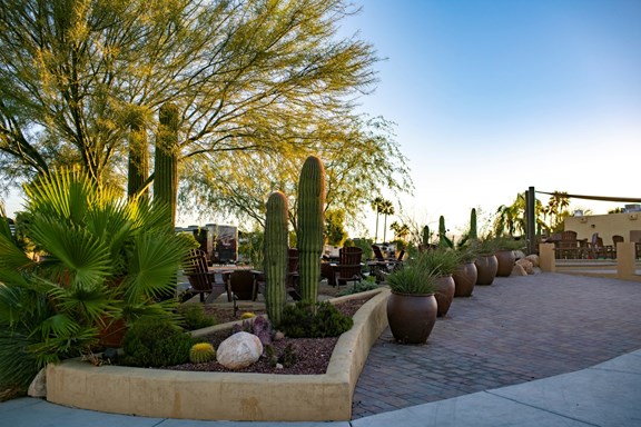 Plan a trip to Tucson Estates, Arizona