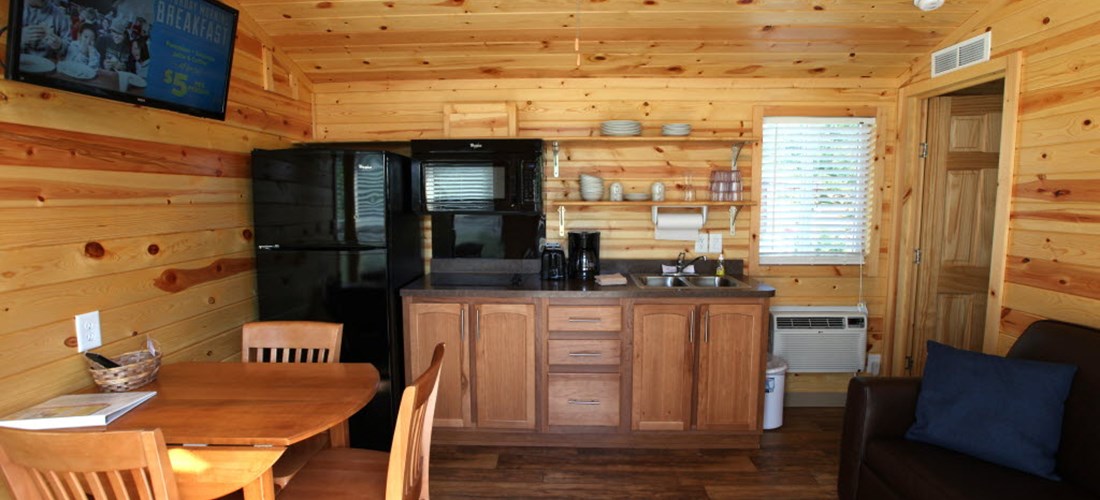 Deluxe Cabin kitchen and living room area
