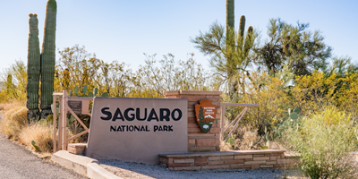 Your Guide to Visiting Saguaro National Park