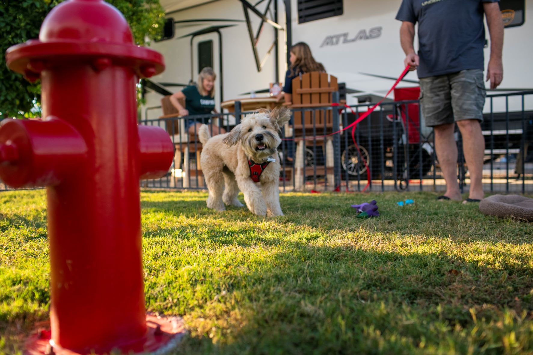 RV - Pull-thru Paw Pen Site