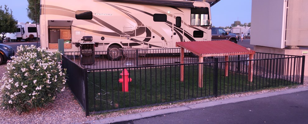 Fireplace & Pet Area Site