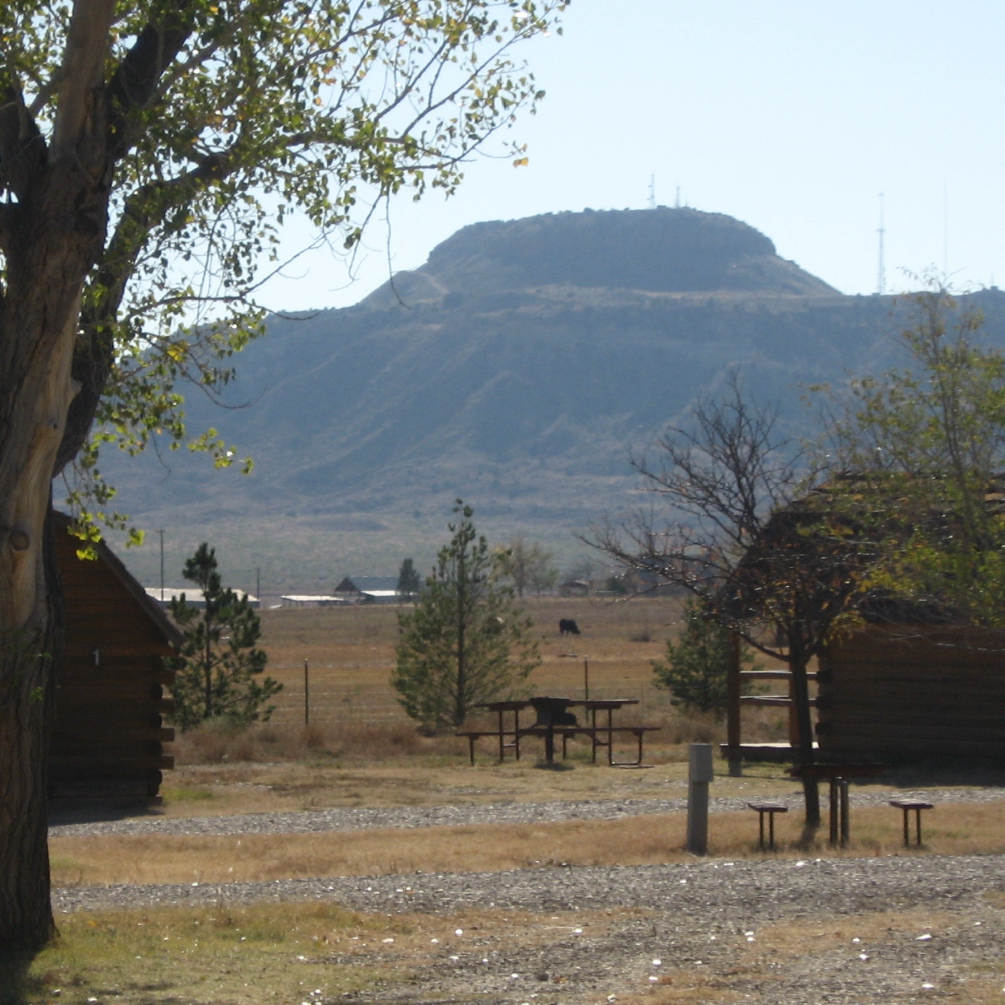 Is Cars Based in Tucumcari?