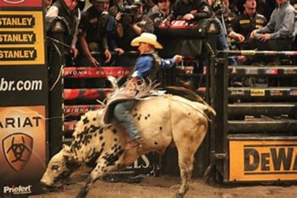 Will Rogers Stampede Rodeo Photo