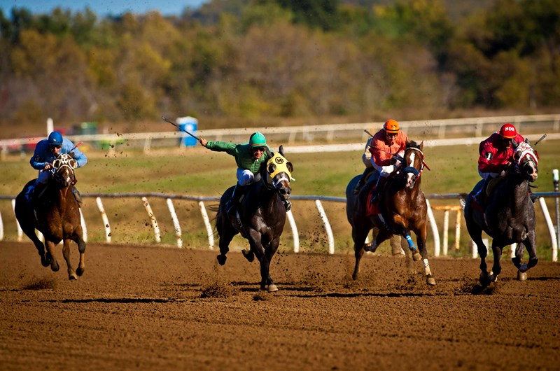 Horse Racing Photo