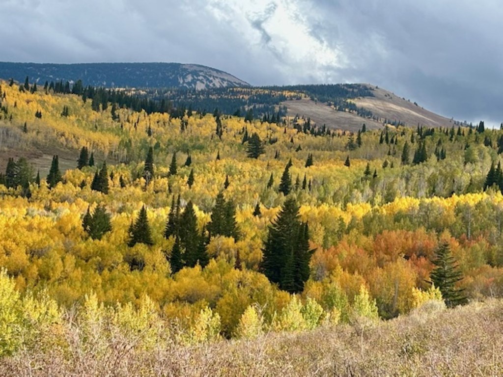 Fall Colors in Twin Falls and the Magic Valley
