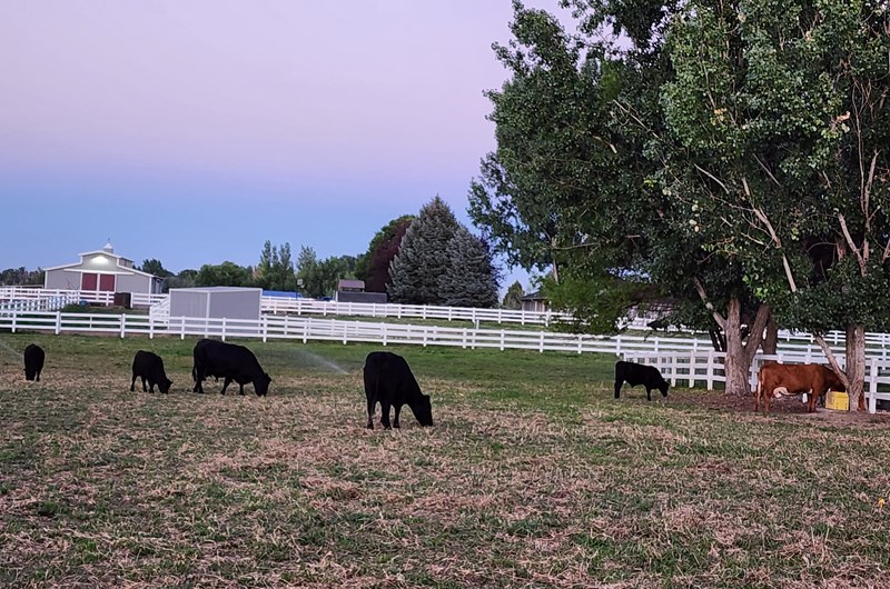 Twin Falls County Fair & Magic Valley Stampede Event at the Twin Falls