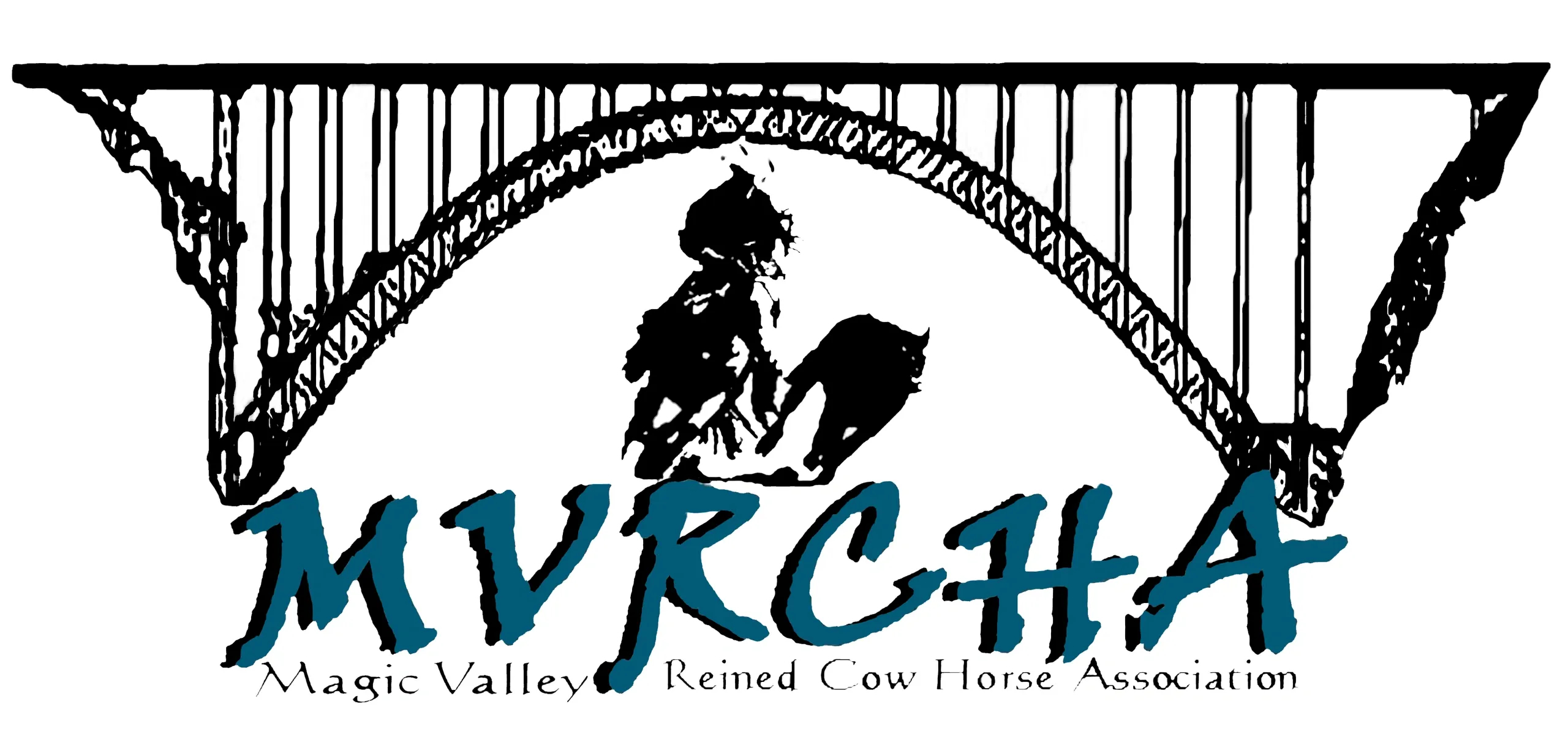 Magic Valley Reined Cowhorse Association Photo