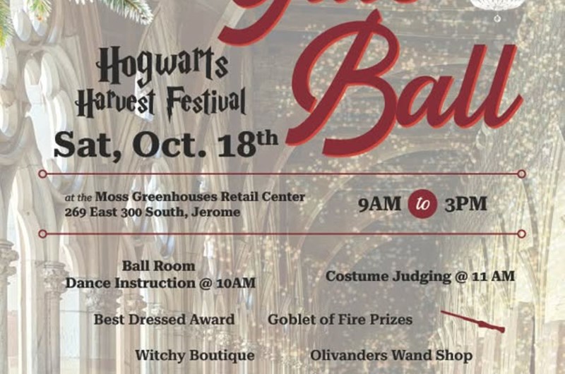 Harry Potter Yule Ball Harvest Festival Photo