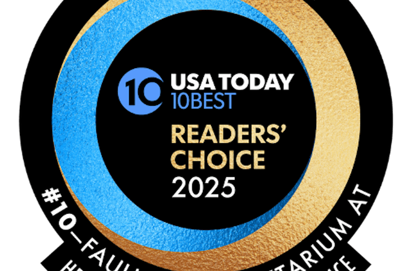 Faulkner Planetarium Photo