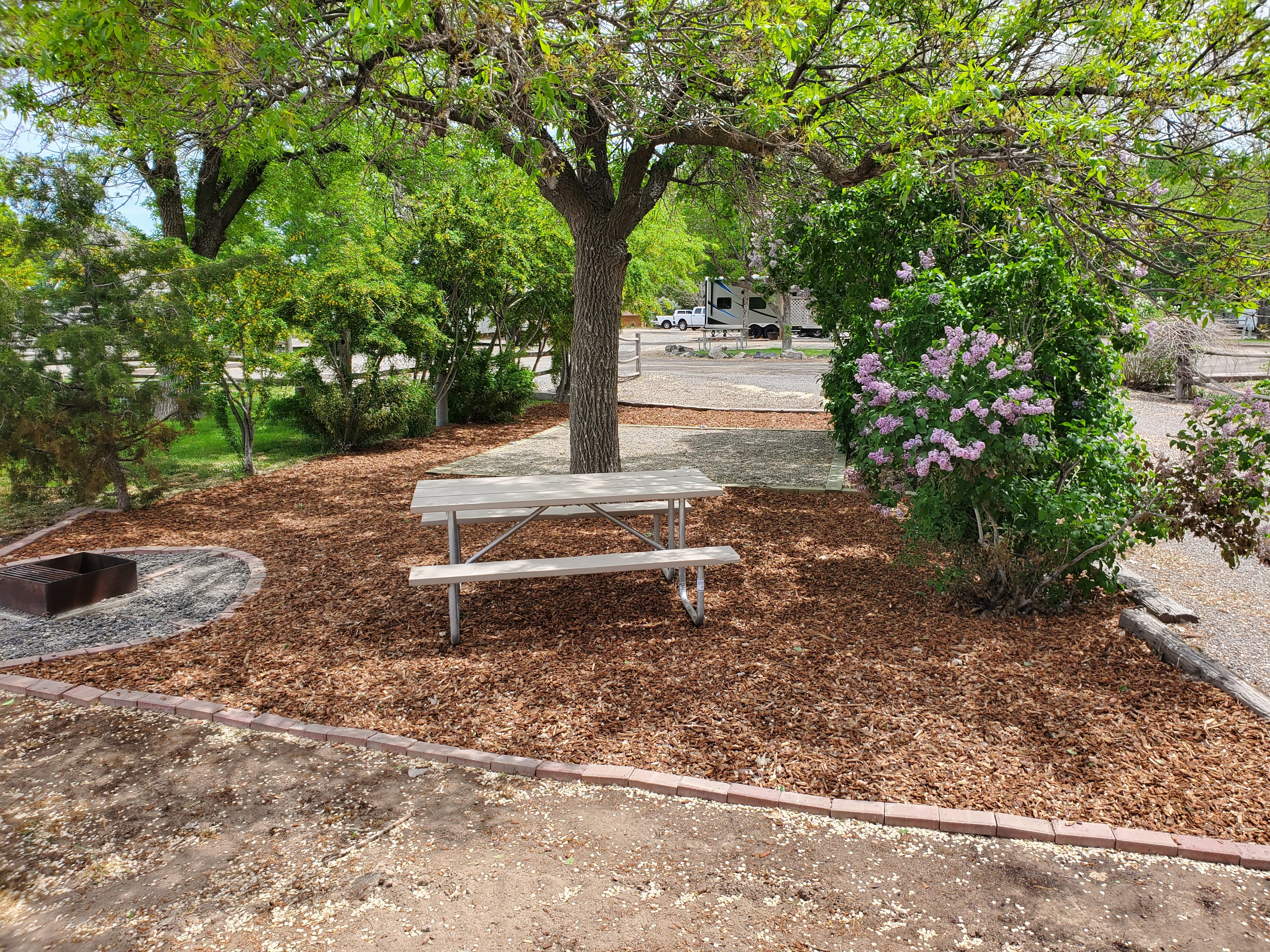 Individual Tent Site, No Hookups, Gravel Tent Pad Pictures Twin Falls