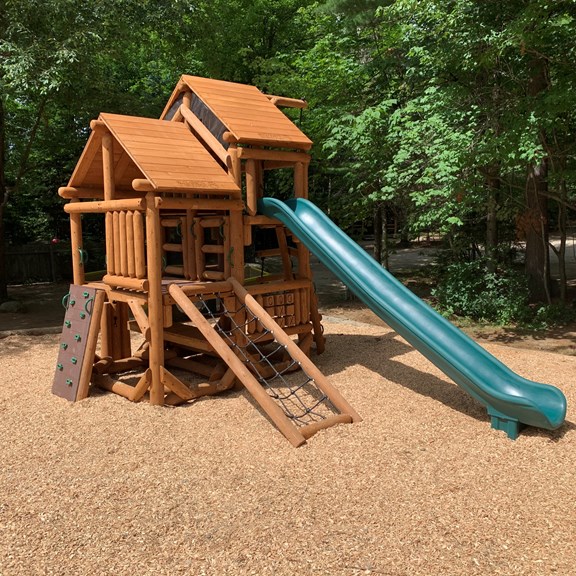 Bear's Playground