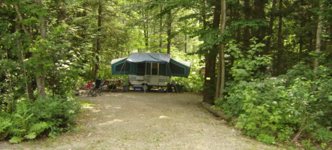Wooded site