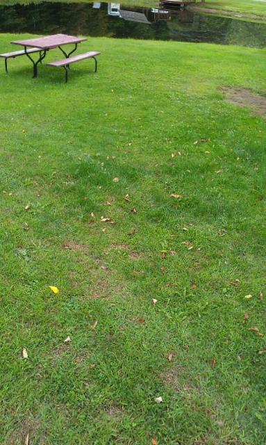 Franklin, New York Tent Camping Sites Unadilla / I88 / Oneonta KOA