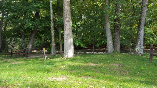 C08 Creek Site