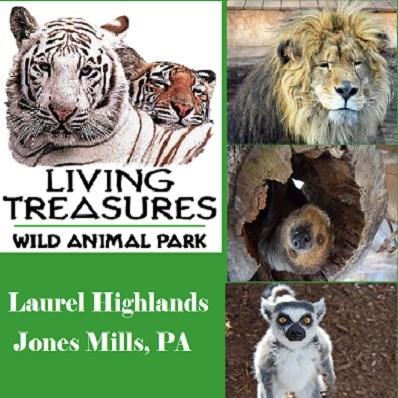 Living Treasures Wild Animal Park