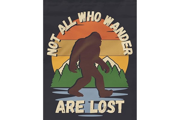 Not all who Wander are Lost Photo