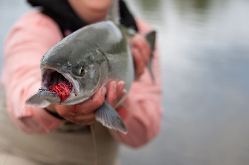 Women's Silver Salmon Derby Photo