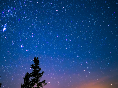Starry night sky with the silhouette of a evergreen tree at Valdez KOA Journey.