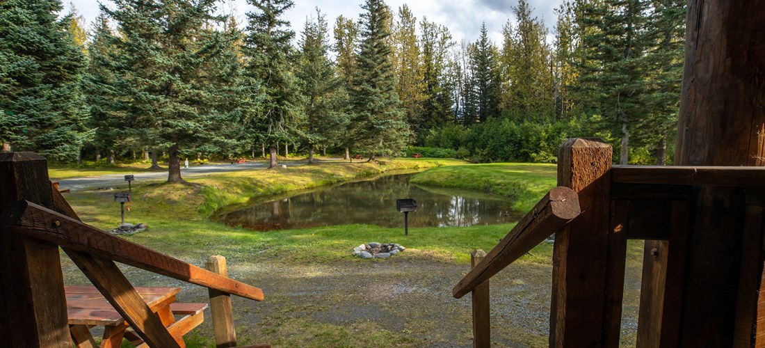 Views from your Cabin Porch. BBQ Grill, Picnic table and Pond. Pond contains a freshwater underground spring.