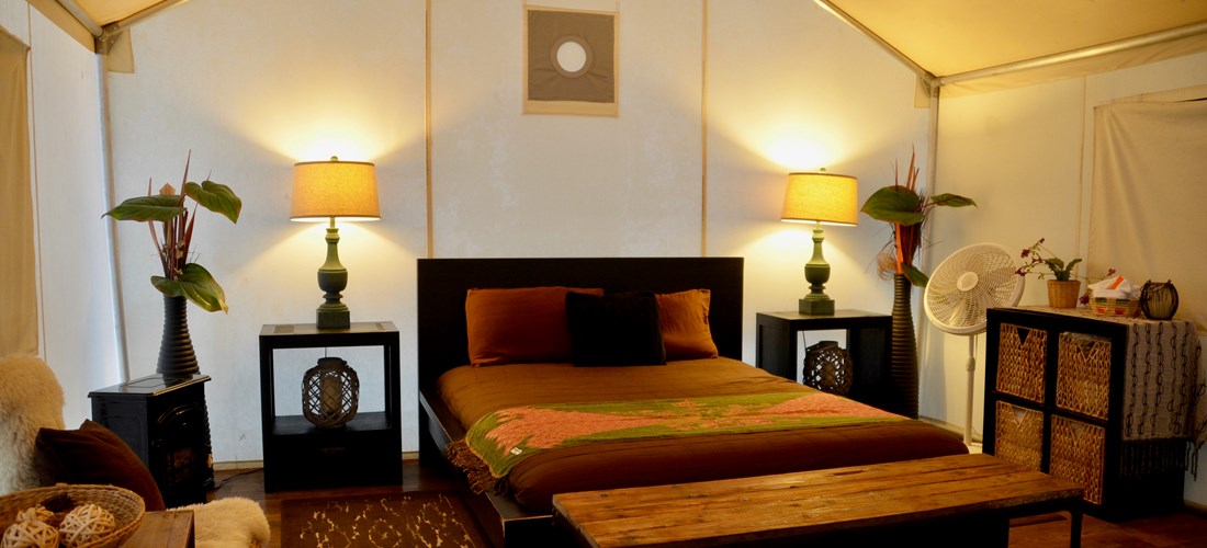 Safari Tent Queen Bed with Futon Sleeper Sofa
