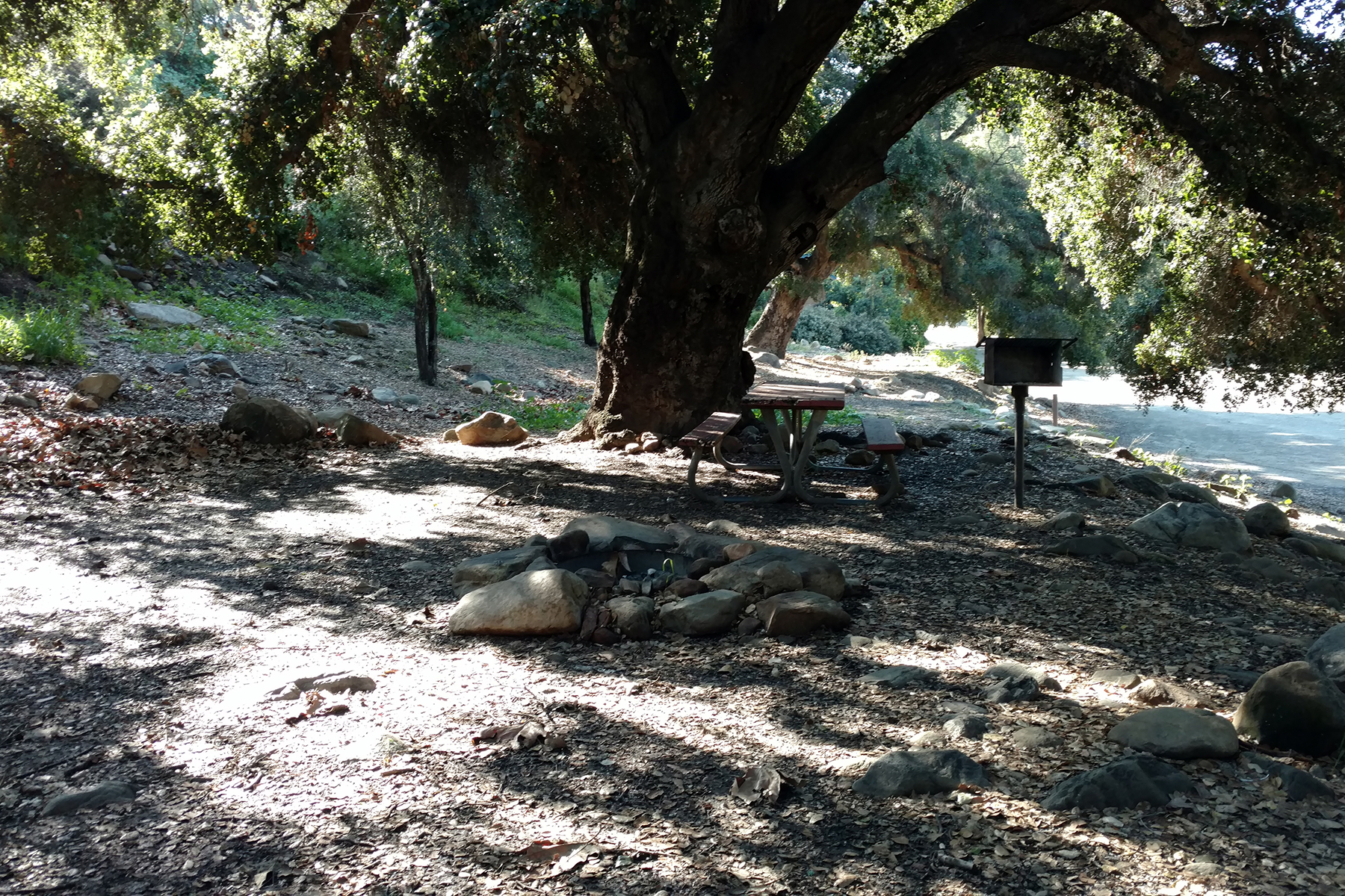 Santa Paula, California Tent Camping Sites Ventura Ranch KOA Holiday