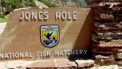Jones Hole and Fish Hatchery