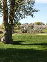 Dinoland Golf Course