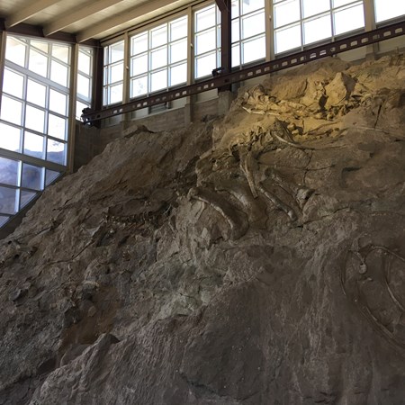 Vernal / Dinosaurland KOA Holiday