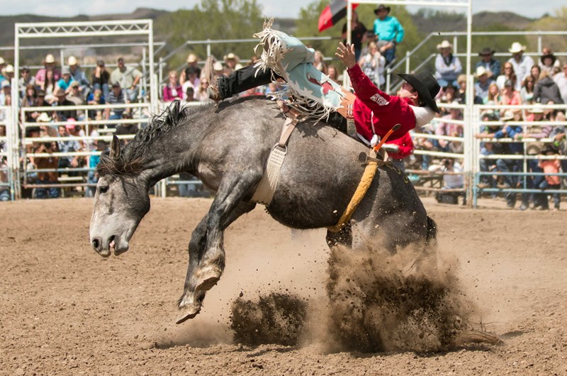 Vernal's Dinosaur Roundup Rodeo: Event at the Vernal / Dinosaurland KOA ...