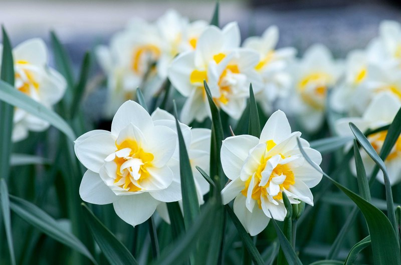 Annual Spring Boutique Extravaganza 2023 Photo