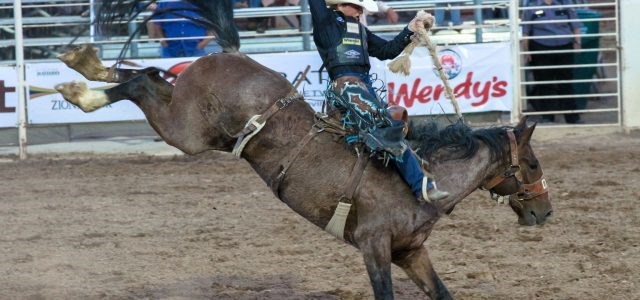 Dinosaur Roundup Rodeo: Event at the Vernal / Dinosaurland KOA Holiday ...