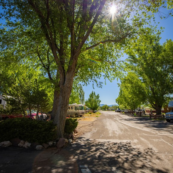 Plan a trip to Rangely, Colorado