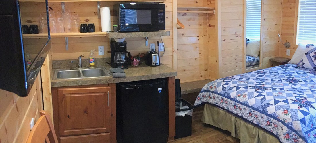 Partial kitchen inside cabin with mini-fridge, microwave, coffee maker and propane cook-top on cabin porch. Basic cooking and dining utensils and dishes provided.