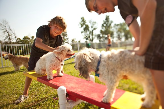 Kamp K9® Dog Park