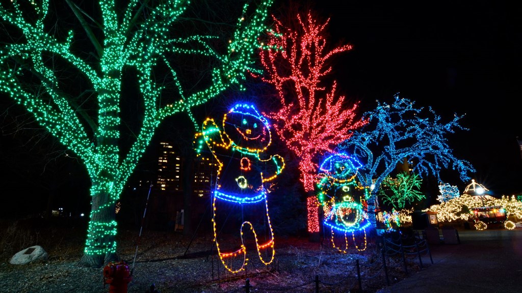 A Dazzling Display: Virginia Beach's Top Holiday Light Shows