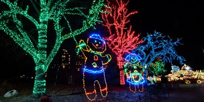 Dazzling Displays: Virginia Beach Holiday Lights &amp; Events!
