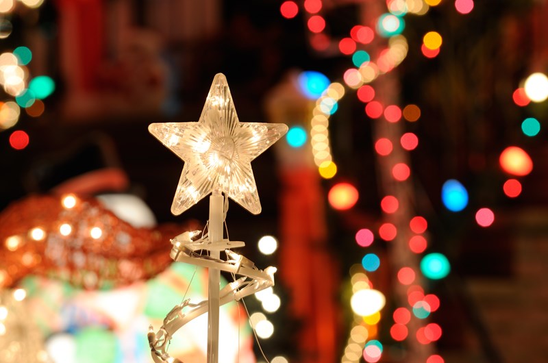Holiday Lights at Virginia Aquarium Photo