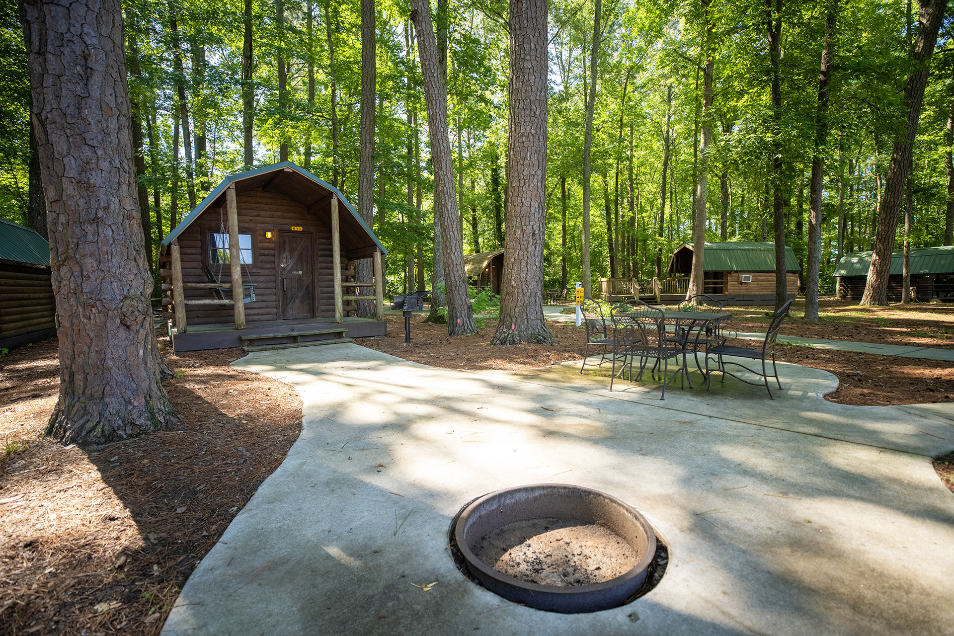 CC611 - Camping Cabin, Woods