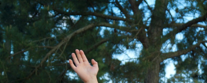 Virginia Beach Virginia Campground Virginia Beach Koa